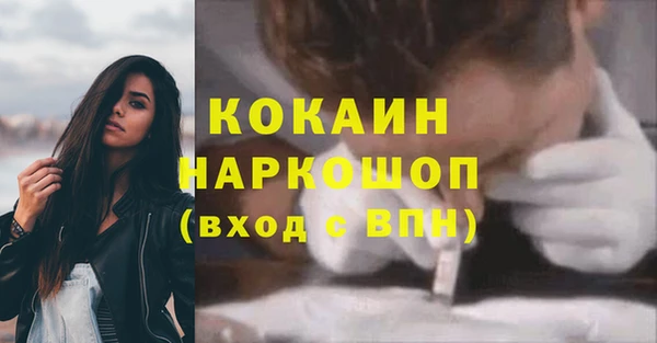 дживик Богородицк