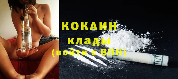 дживик Богородицк